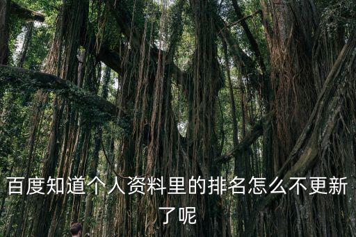 百度知道个人资料里的排名怎么不更新了呢