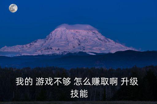 我的 游戏不够 怎么赚取啊 升级 技能