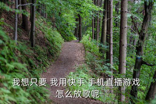 快手手游直播怎么设置声音，我想只要 我用快手 手机直播游戏 怎么放歌呢