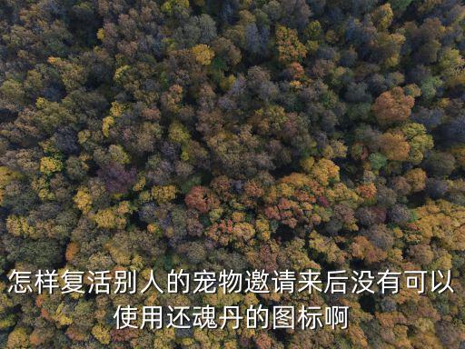 怎样复活别人的宠物邀请来后没有可以使用还魂丹的图标啊