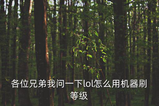 各位兄弟我问一下lol怎么用机器刷等级