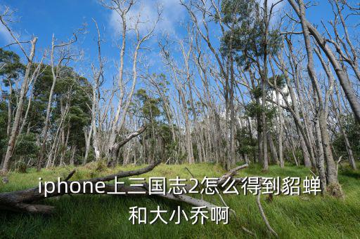 三国志手游小乔怎么获得，iphone上三国志2怎么得到貂蝉和大小乔啊