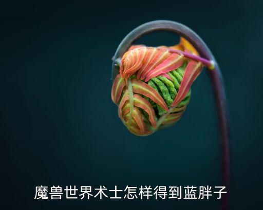魔兽世界术士怎样得到蓝胖子