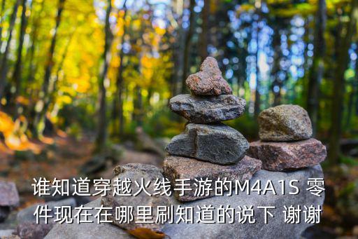 谁知道穿越火线手游的M4A1S 零件现在在哪里刷知道的说下 谢谢