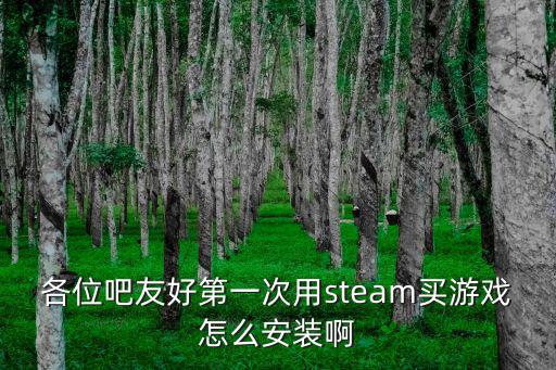 官网steam手游怎么安装，steam游戏购买之后怎么安装