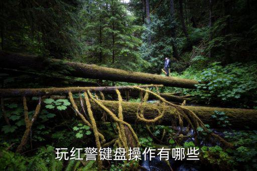 玩红警键盘操作有哪些