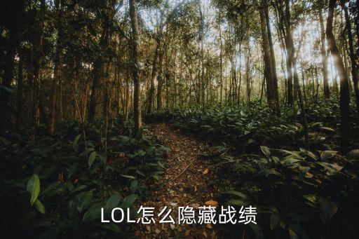 LOL怎么隐藏战绩
