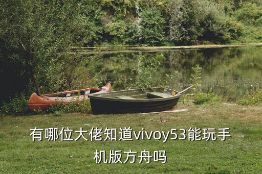 有哪位大佬知道vivoy53能玩手机版方舟吗