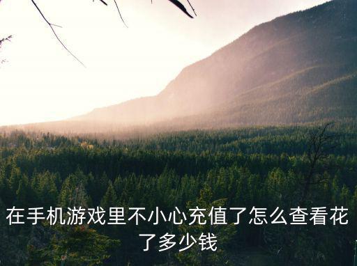在手机游戏里不小心充值了怎么查看花了多少钱