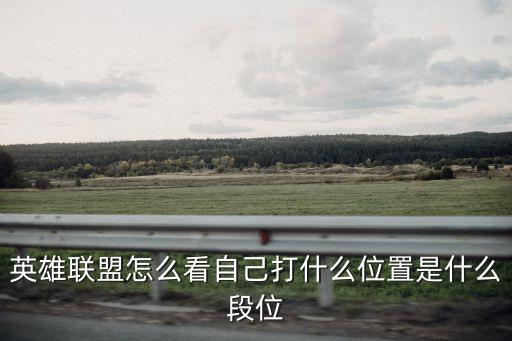英雄联盟怎么看自己打什么位置是什么段位