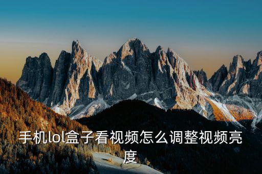 手机lol盒子看视频怎么调整视频亮度