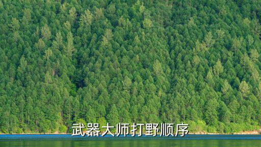 武器大师打野顺序