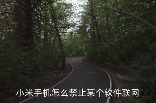 小米手机怎么禁止手游联网，小米手机网络权限设置在哪里设置