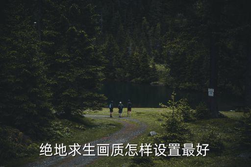 pubg手游极清画质怎么开，绝地求生画质怎样设置最好