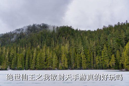 绝世仙王手游雷电版怎么样，绝世仙王手游工具推荐个能否介绍一二