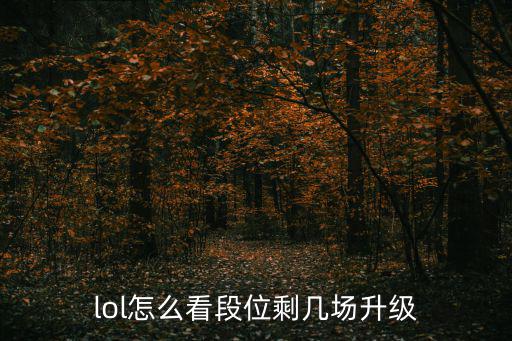 lol手游怎么看段位差多少升级，官匹请问如何看需要胜利多久才升段位
