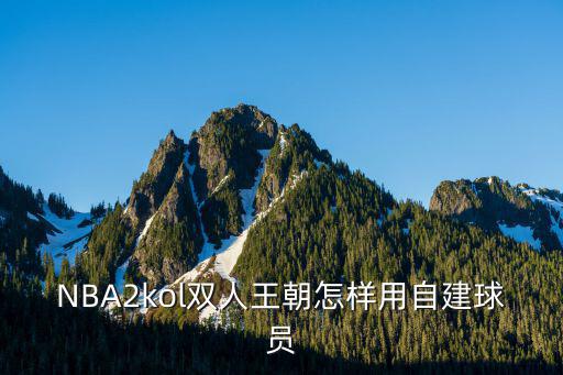 NBA2kol双人王朝怎样用自建球员