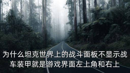 为什么坦克世界上的战斗面板不显示战车装甲就是游戏界面左上角和右上