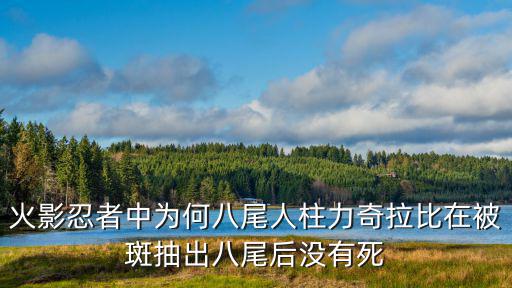 火影忍者手游八尾怎么样，火影忍者手游二位由木人怎么获取