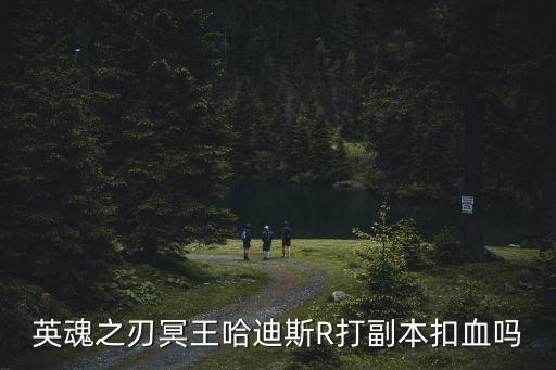 英魂之刃冥王哈迪斯R打副本扣血吗