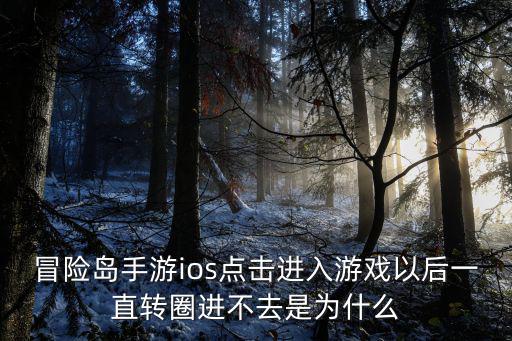 冒险岛手游ios点击进入游戏以后一直转圈进不去是为什么