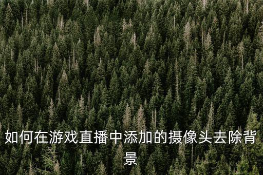 如何在游戏直播中添加的摄像头去除背景