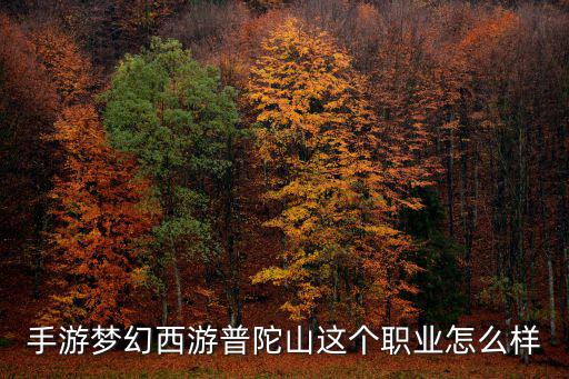 手游梦幻西游普陀山这个职业怎么样