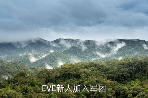 eve手游怎么看加过哪些军团，eve怎样加入玩家的军团