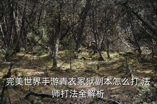 完美世界手游青衣冢狱副本怎么打 法师打法全解析