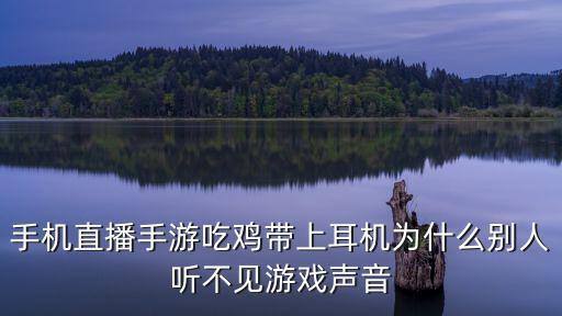 手机直播手游吃鸡带上耳机为什么别人听不见游戏声音
