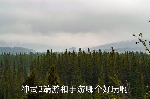 神武3端游和手游哪个好玩啊