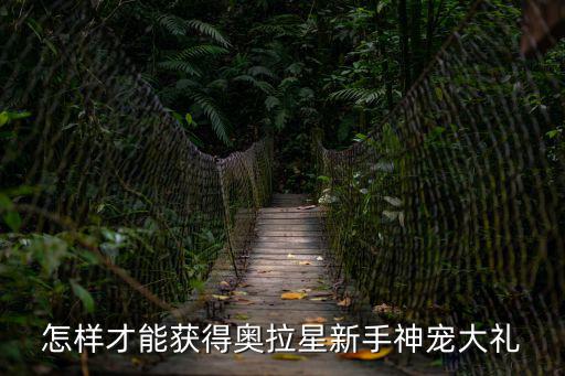 怎样才能获得奥拉星新手神宠大礼