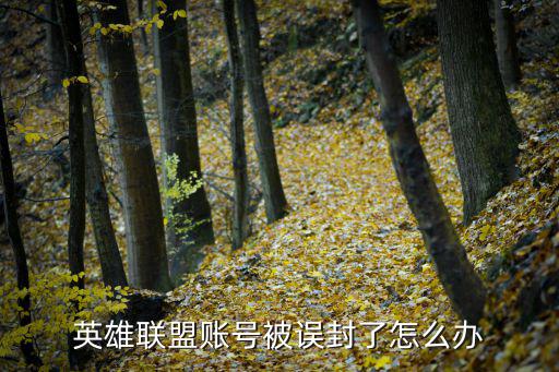 手游联盟账号被误封怎么办，英雄联盟账号被误封了怎么办