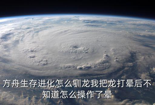 方舟生存进化怎么驯龙我把龙打晕后不知道怎么操作了晕