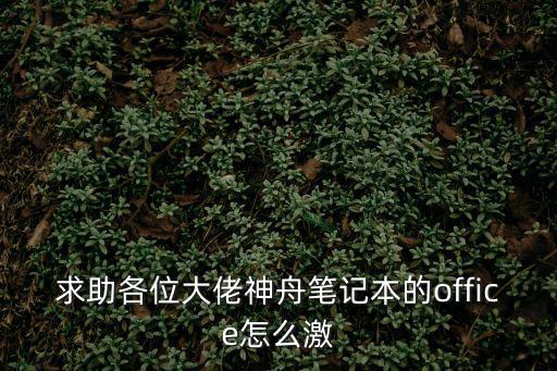 求助各位大佬神舟笔记本的office怎么激