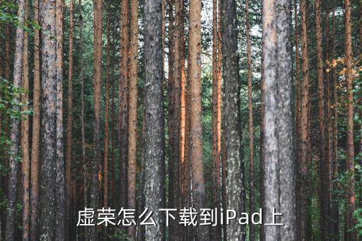 苹果怎么下载虚荣手游，虚荣苹果6下载进不去咋办