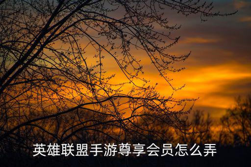 联盟手游万象拼图怎么弄，英雄联盟手游尊享会员怎么弄