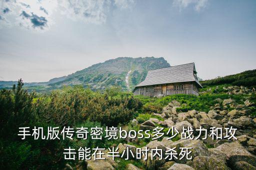 手机版传奇密境boss多少战力和攻击能在半小时内杀死