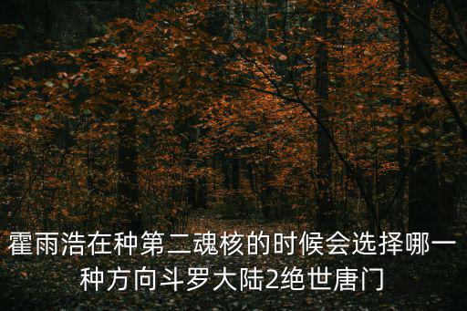 霍雨浩在种第二魂核的时候会选择哪一种方向斗罗大陆2绝世唐门