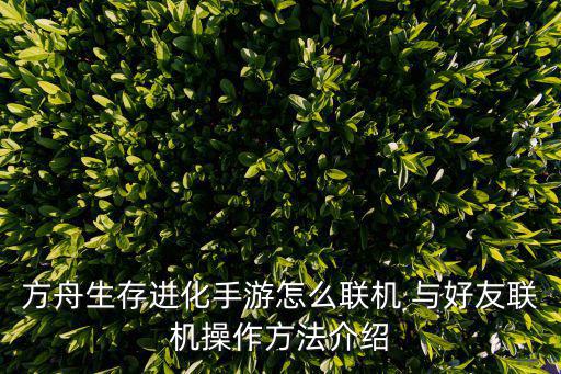 方舟生存进化手游怎么联机 与好友联机操作方法介绍
