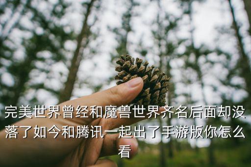 完美世界曾经和魔兽世界齐名后面却没落了如今和腾讯一起出了手游版你怎么看