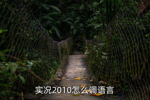 实况2010怎么调语言