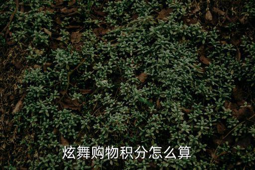 炫舞购物积分怎么算