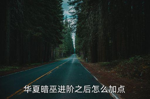 华夏暗巫进阶之后怎么加点