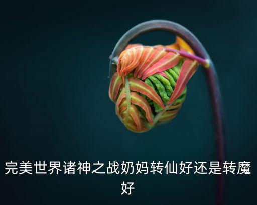 完美世界诸神之战奶妈转仙好还是转魔好