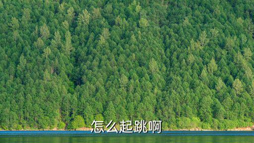怎么起跳啊