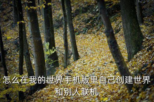 怎么在我的世界手机版里自己创建世界和别人联机