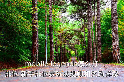 mobile legends怎么打排位 新手排位赛玩法规则和奖励详解