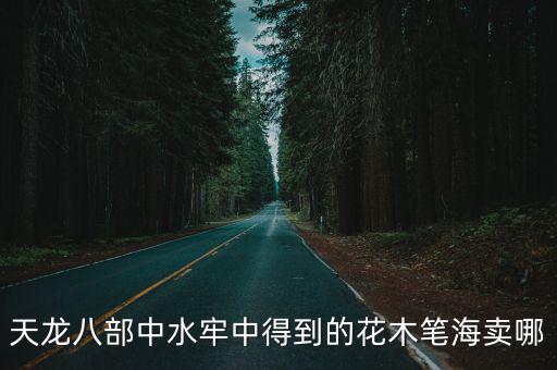 天龙八部中水牢中得到的花木笔海卖哪