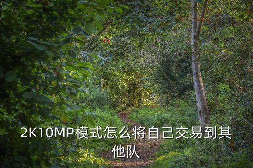 2K10MP模式怎么将自己交易到其他队